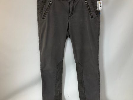 Pants Other By Anthropologie In Grey, Size: 12 Online now