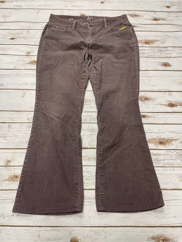 Pants Corduroy By Loft In Brown, Size: 12 Online now