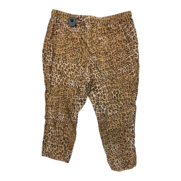 Pants Cargo & Utility By Pilcro In Leopard Print, Size: Xl For Discount