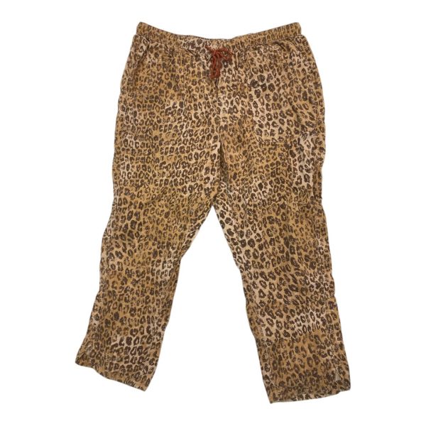 Pants Cargo & Utility By Pilcro In Leopard Print, Size: Xl For Discount