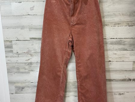 Pants Corduroy By Pilcro In Orange, Size: 14 Online Hot Sale