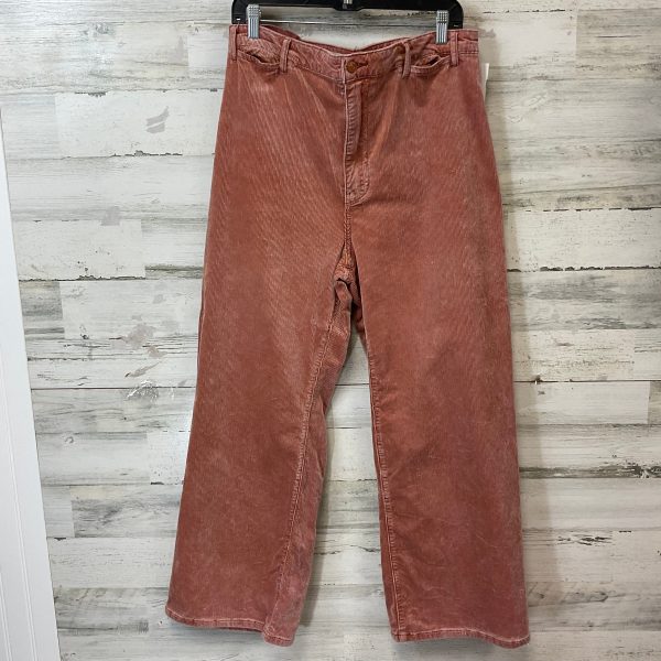 Pants Corduroy By Pilcro In Orange, Size: 14 Online Hot Sale