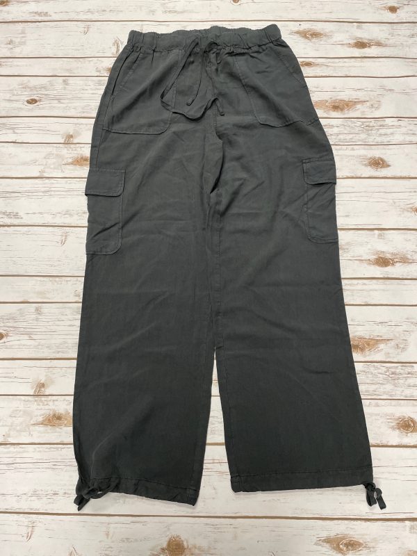 Pants Cargo & Utility By Thread And Supply In Grey, Size: M For Discount