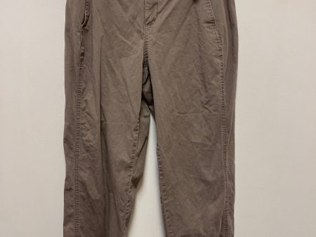 Pants Cargo & Utility By A New Day In Grey, Size: 8 Online