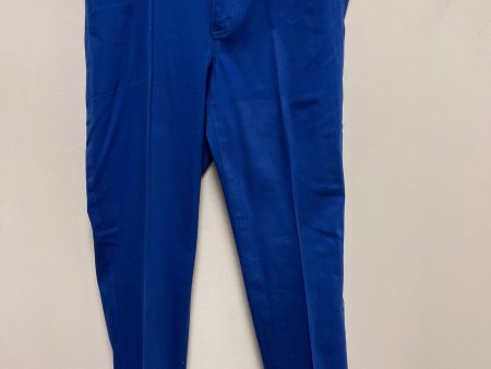 Pants Other By Etcetra In Blue, Size: 10 Discount