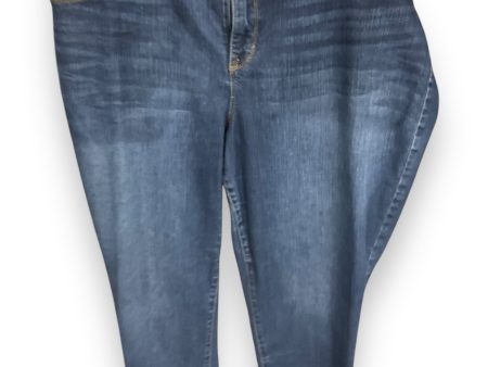 Jeans Skinny By Style And Company In Blue Denim, Size: 20 For Cheap