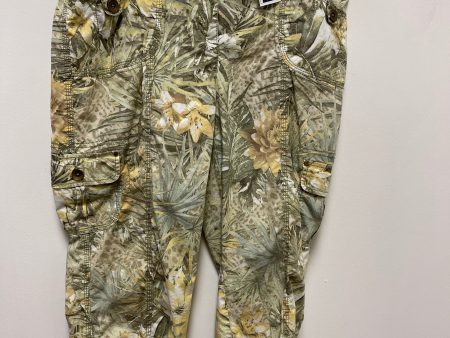 Pants Cargo & Utility By Chicos In Green, Size: 8 Online