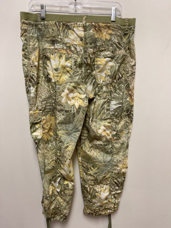 Pants Cargo & Utility By Chicos In Green, Size: 8 Online